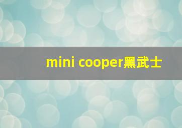 mini cooper黑武士